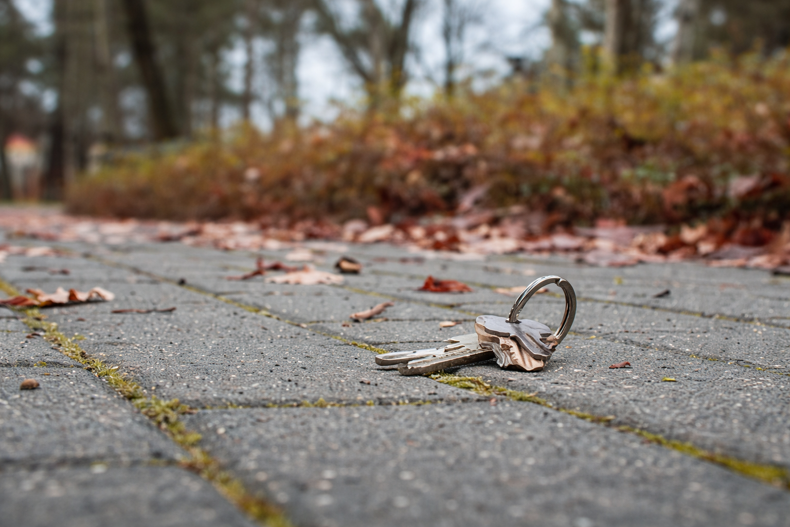 J’ai perdu mes clés : Que faire ?